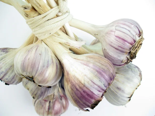 stock image Garlic