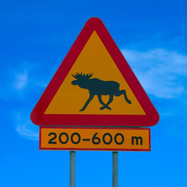 Moose uyarı trafik işareti - mavi skye — Stok fotoğraf