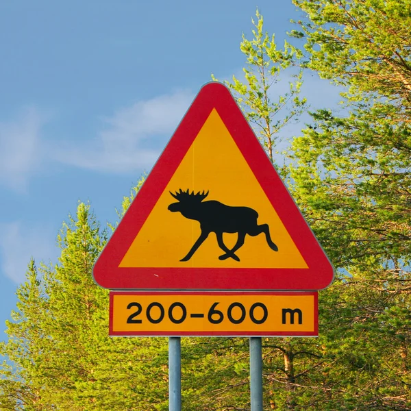 Moose Warning Traffic Sign — Stock Photo, Image