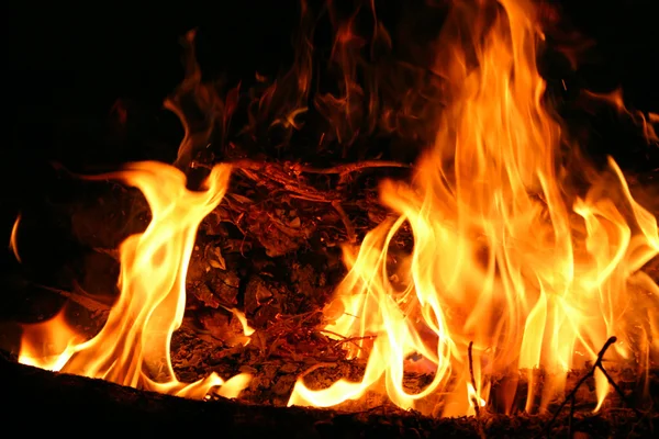 Táborový oheň #1 — Stock fotografie