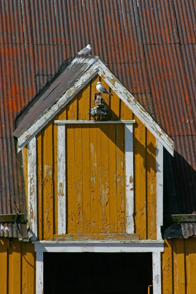 Nusfjord çatı penceresi — Stok fotoğraf