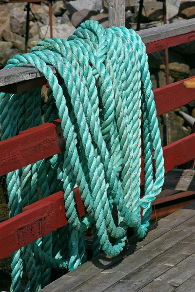 Zielone lina morskie — Zdjęcie stockowe