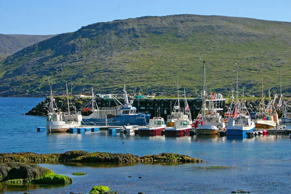 Pequeno Porto Com Botas Agradáveis Cabo Norte — Fotografia de Stock
