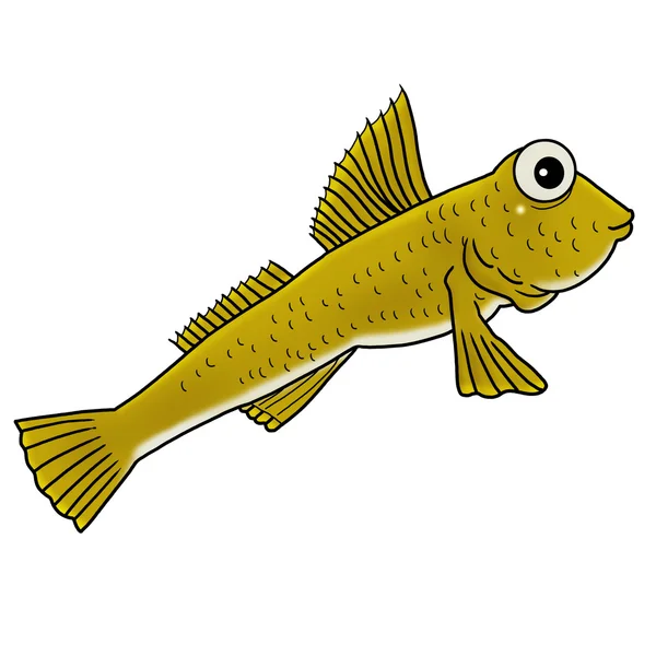 Mudfish — Stock Photo, Image
