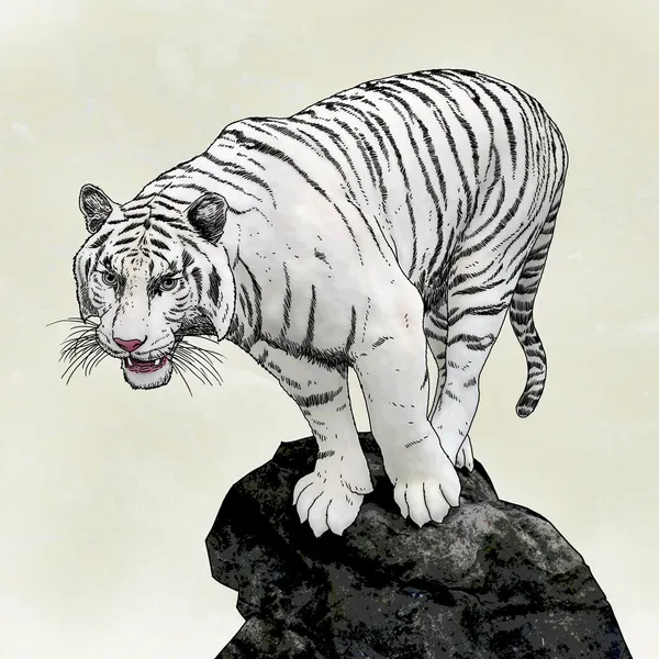 Disegno Animale Realistico Tigre Bianca Piedi Sulla Roccia — Foto Stock