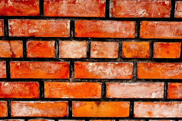Brick red — Stockfoto