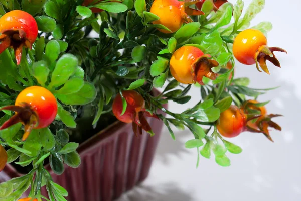 stock image Artificial trees on white background.