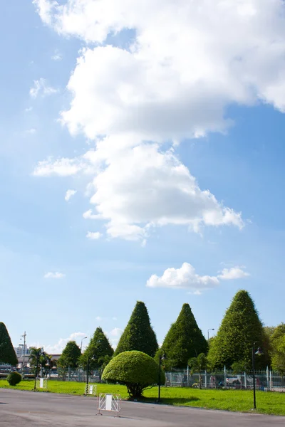 stock image Garden in the sky clear.