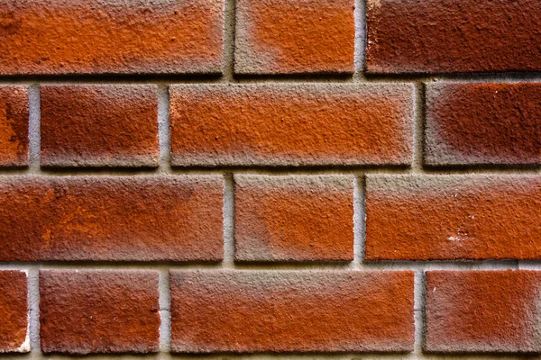Brick wall background. — Stock Photo, Image