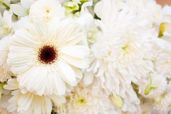 stock image Among white flowers.