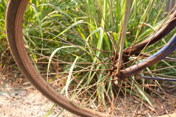 Bicycle wheel spokes. — Stock Photo, Image