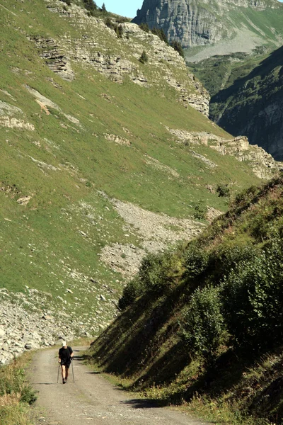 Solitario vagabundo en la carretera en un valle de montaña —  Fotos de Stock
