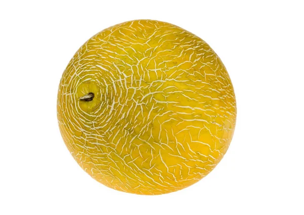 sweet fresh yellow melon - 图库照片