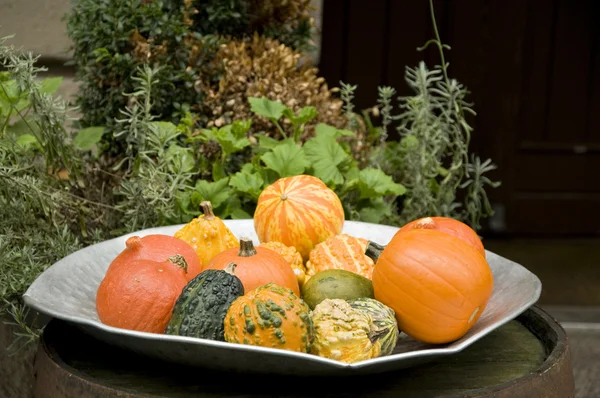 Dekoratif halloween pumpkins plaka
