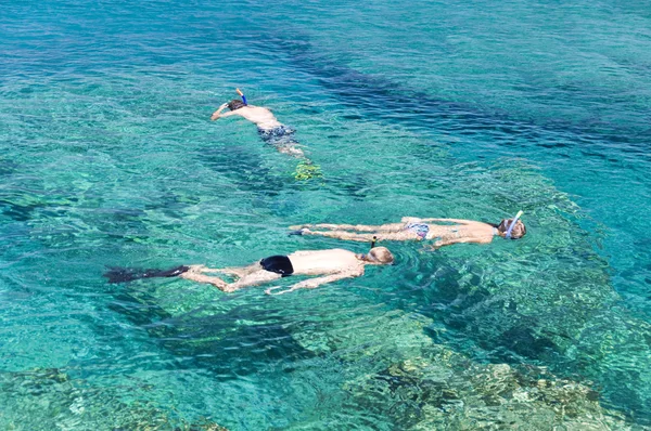 Dykning på det kristallklara havet i Cypern Royaltyfria Stockbilder