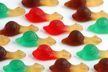 parlak renkli salyangoz