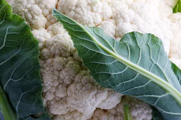 stock image Cauliflower