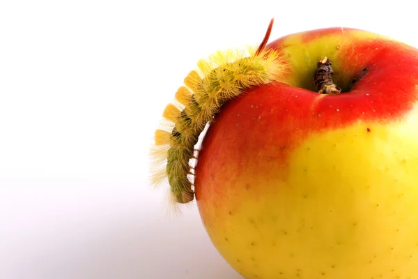 Caterpillar and Apple — Stock Photo, Image