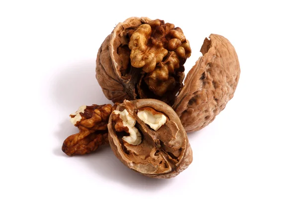 stock image Walnut