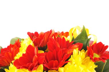 Sarı ve kırmızı çiçekler