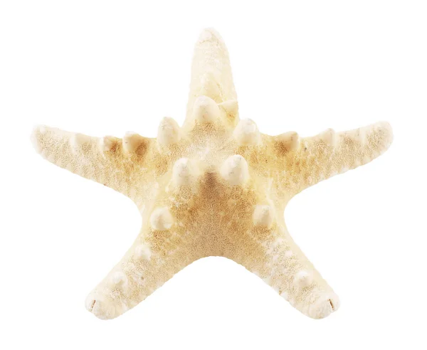 stock image Starfish isolated on white background