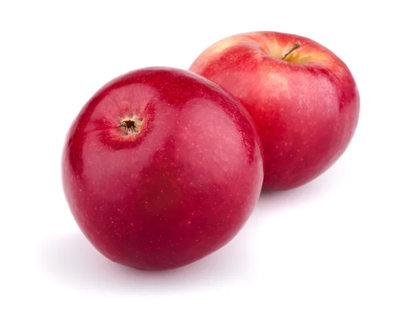 两个红苹果 — 图库照片