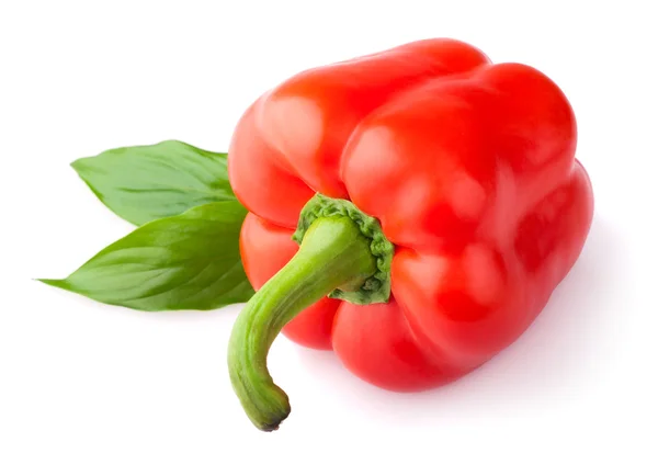 Red sweet pepper with leaf — Stock Photo, Image