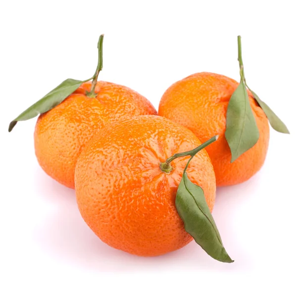 Mandarinky s listy izolované na bílém — Stock fotografie