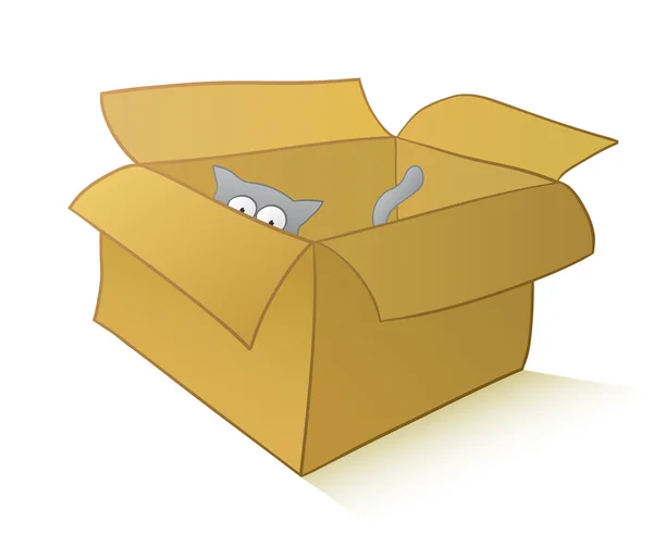 Kíváncsi macska egy karton dobozban — Stock Vector