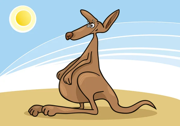 Känguru — Stockvektor