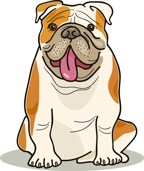 Races de chiens : bulldog — Image vectorielle