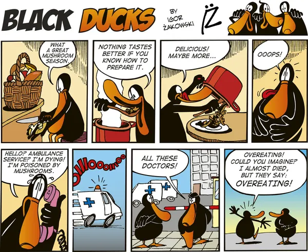 Czarny Kaczki Comic Strip Odcinek — Wektor stockowy