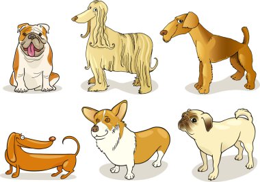 Purebred dogs clipart