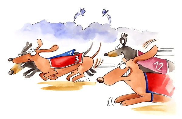 Dachshund dogs race — Stock Photo, Image