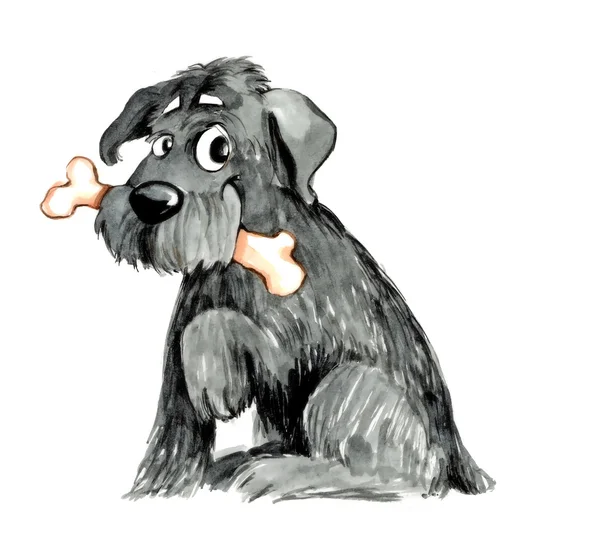 Δασύτριχο σκυλί με οστό — Φωτογραφία Αρχείου