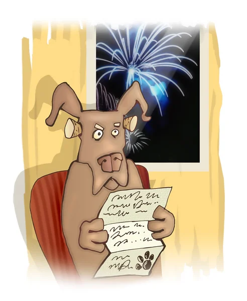 Dog and fireworks — Stock Photo, Image