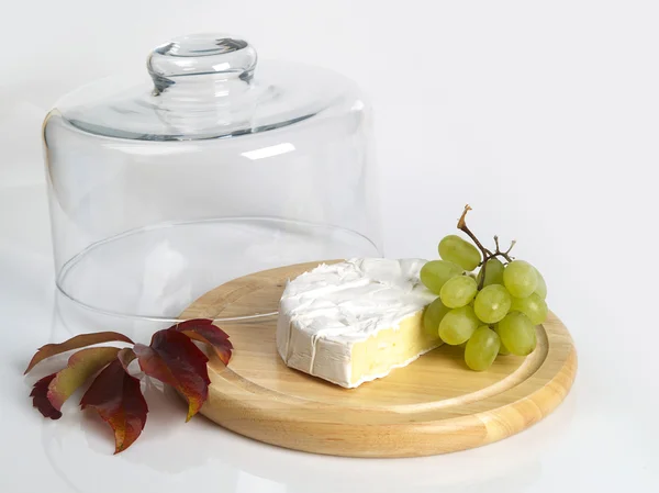 Cheese Cover — Stock Photo, Image