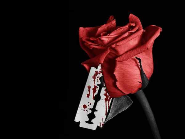血腥玫瑰 — 图库照片