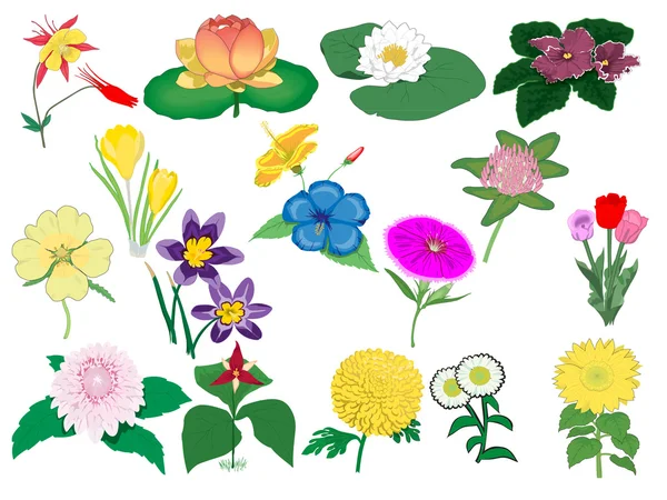stock vector Set of detailed flowers