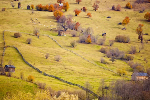 Herfst kleuren — Stockfoto