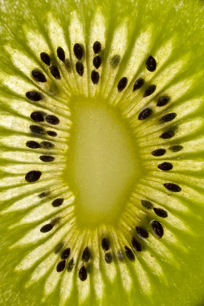 stock image Kiwi macro