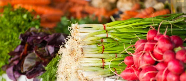 stock image Vegetables