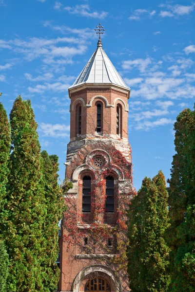 Церква в монастирі Арджеш — стокове фото