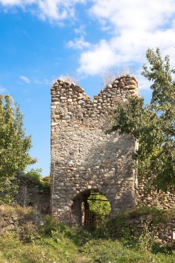 Medieval fortress in Salasu de Sus village, Hunedoara county, Romania. clipart