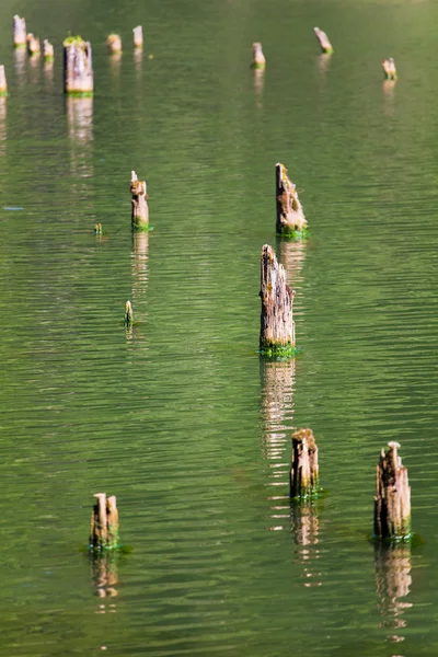 Конкретный Пейзаж Красном Озере Мертвыми Стволами Деревьев Выходящими Воды Остатки — стоковое фото