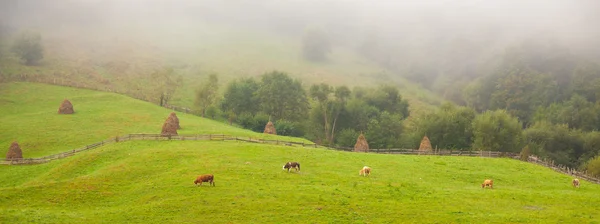 Panorama Uma Bela Paisagem Rural Nas Montanhas Apuseni Roménia — Fotografia de Stock