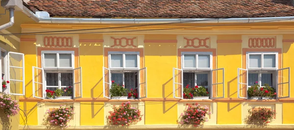 stock image Panoramic view of a yellow wall and white windows with flowers.