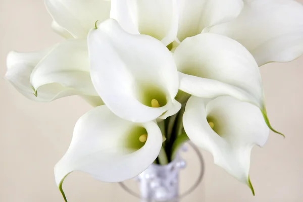 Bridal Bouquet White Feces Vase Table — Stock Photo, Image