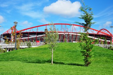 Soccer Benfica clipart