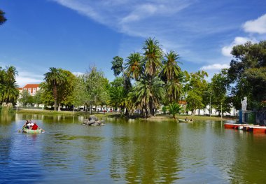 Göl kenarında palmiye ağaçları